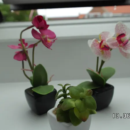 住宿加早餐酒店 Sweethome 2*